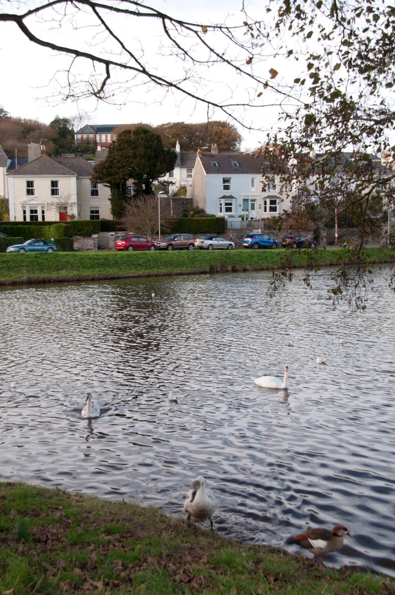 MPHEstateAgents's tweet image. NEW INSTRUCTION: 4 bedroom period property located right next to Millbrook lake Guide price £335,000 #millbrook #mph
bit.ly/2gtgtKC