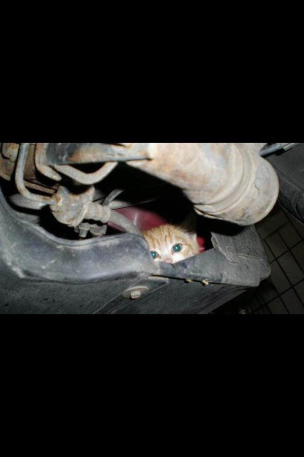 guneybariss's tweet photo. Ey şoför geldiysen 3 kere #KaputaVur https://t.co/DxHaB3IL60