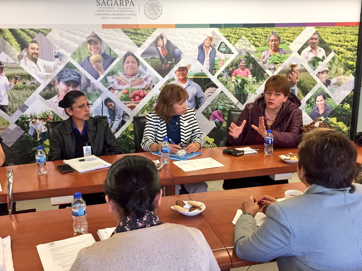 Mely_Romero's tweet photo. En equipo con mujeres líderes de organizaciones estamos revisando Reglas de Operación 2017 @SAGARPA_mx! Su aportación fortalece la inclusión https://t.co/xbzYQ0Lc94