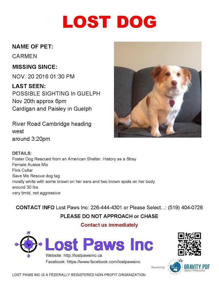 Hey friends in the Guelph/Rockwood/Halton area, let's try and reunite this cutie with her forever family.