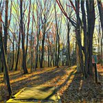 Photo by Long Island DiscGolf (@LIDiscGolf)