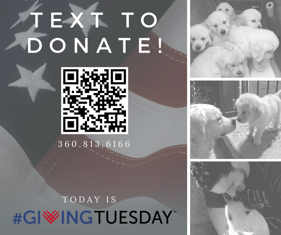 NWBBWA's tweet photo. It's #GivingTuesday! Donate & help us serve our #veterans who served us all! #BuddiesForVets #ServiceDogsForVets https://t.co/mvPxaA2rcP https://t.co/5j6rGDpaCS