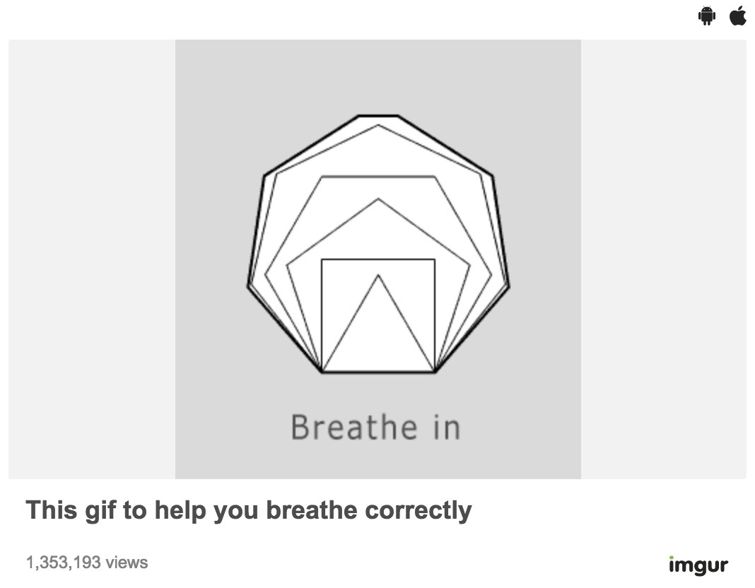 Crowe_Agency's tweet photo. If you’re feeling stressed, here’s a clever GIF out there to remind you to do what’s absolutely essential: Breathe.  https://t.co/R8M4tpL4Ub https://t.co/mErEbk9hwL