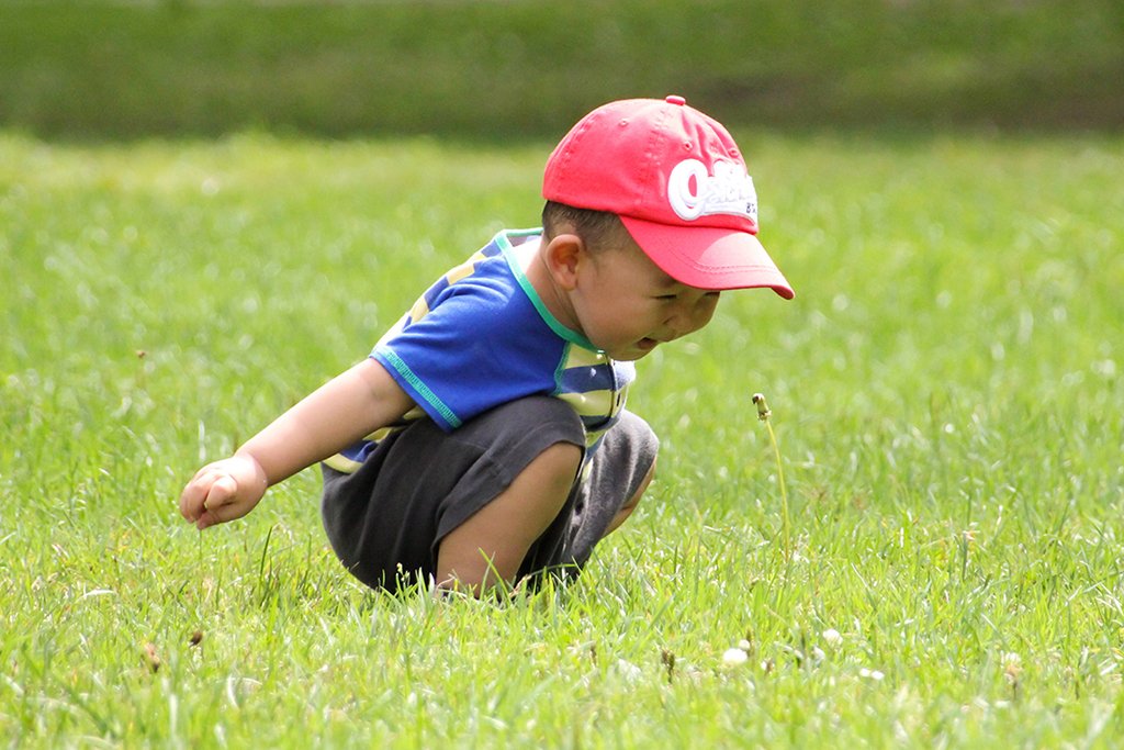 Conservation Ontario tweet media