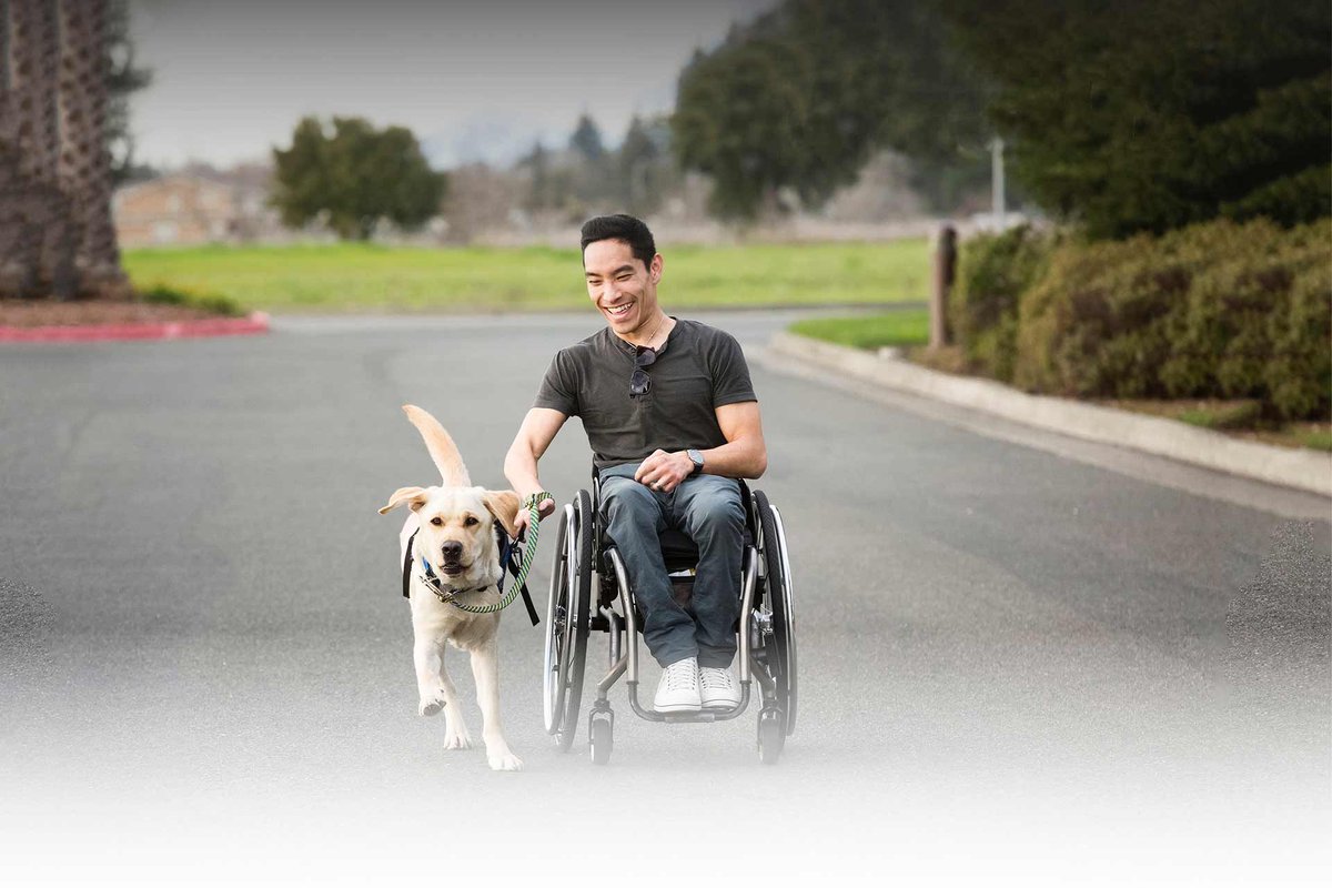 canineorg tweet picture