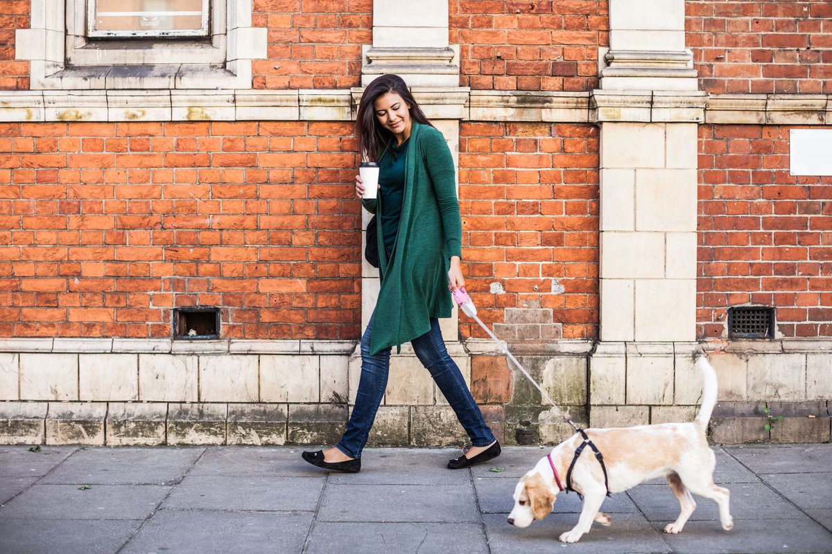 ThoughtCatalog's tweet photo. #ad 14 Ways Your Dog Is Actually The Best Friend You Could Have https://t.co/uKTDahWgFx https://t.co/1ScqKIL6pj