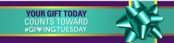 WestminsterATX's tweet photo. As a nonprofit, we are proud to support @alzassociation. We encourage you to donate this #GivingTuesday https://t.co/sCyiwSWjy6 https://t.co/fWOPrWr9uR