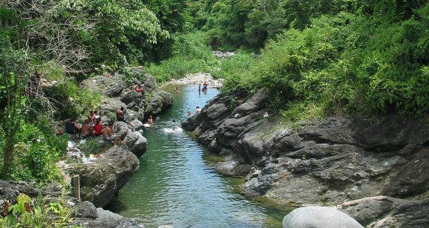 Voces del Sur tweet media