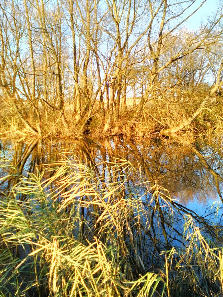 Langley Loch near Maidstone Kent.