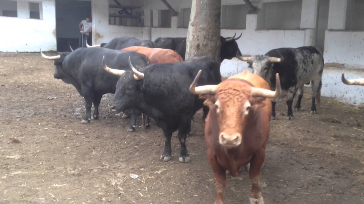 Jandilla (@jandilla1951) on Twitter photo 