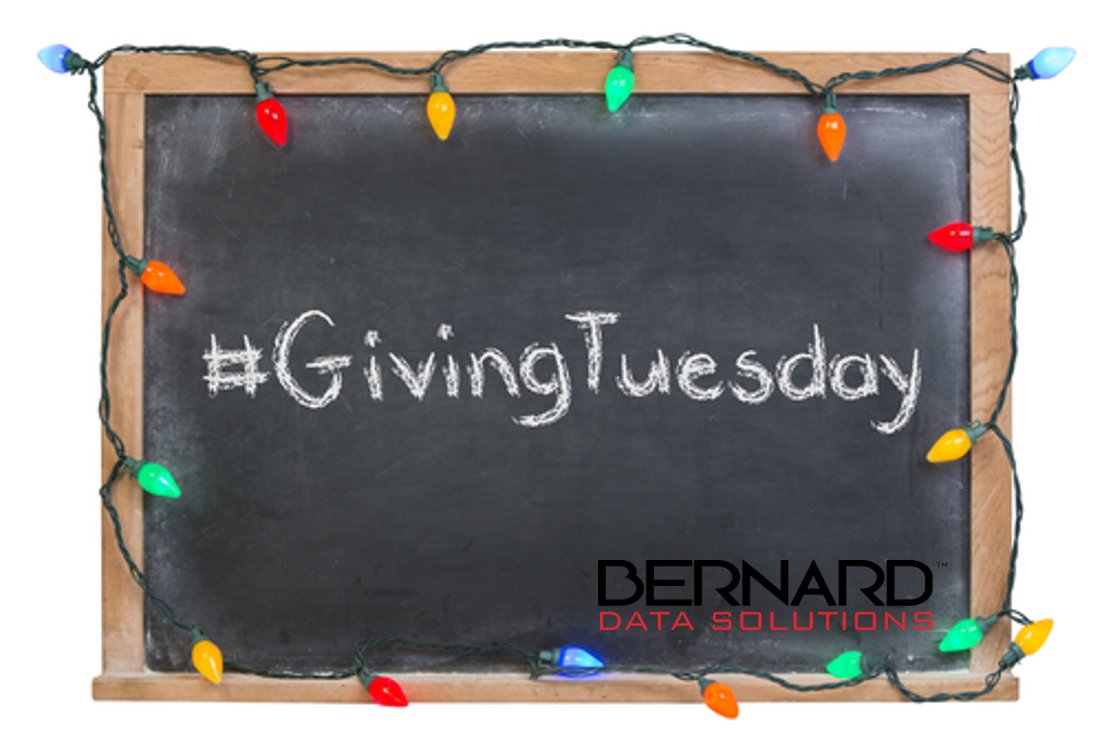 bernarddata's tweet photo. Which org did you donate to today? Tag @bernarddata &amp; #givingtuesday for a chance to win a basket of plush pups as a token of our thanks. https://t.co/vQSZJ0gU1W