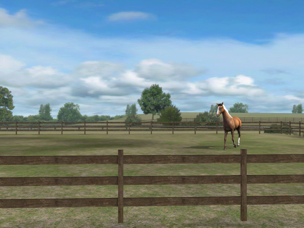 Check out my photo! Add me, BoggyMagic797. #MyHorse  nmgam.es/horse_twitter
