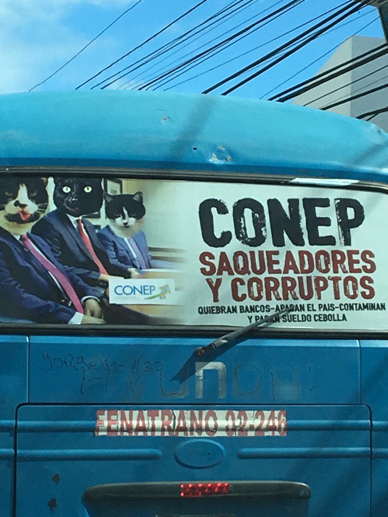 MeilynEda's tweet photo. La guerra entre #CONEP  y los Choferes está declarada 😂😂😂... entre iguales te veas https://t.co/6Nllu0BIL6