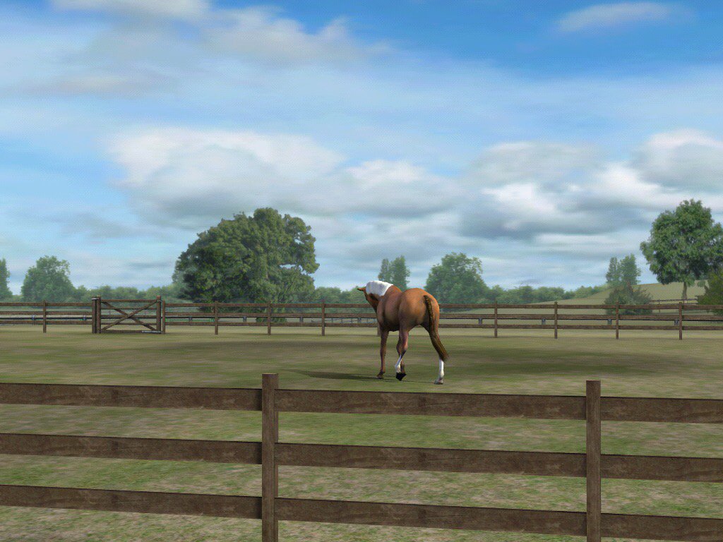 Check out my photo! Add me, BoggyMagic797. #MyHorse #@ nmgam.es/horse_twitter