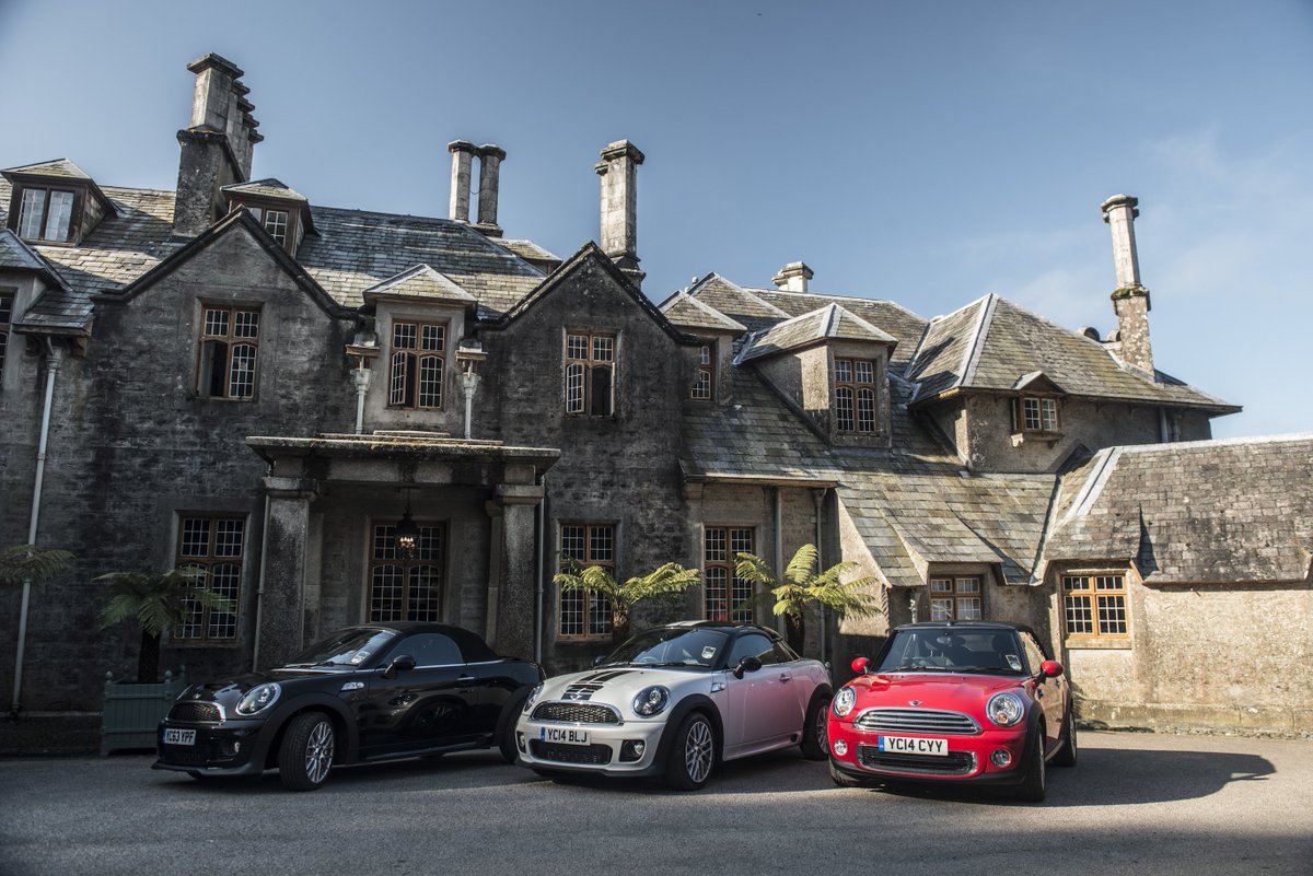 Forsdicks_Mini's tweet photo. The ideal addition for any courtyard.  https://t.co/EaCnJgcDQT