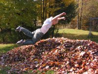 cityofStCharles's tweet photo. Leaf Relief is on the way #StCharlesIL! If leaves are still on the ground, prepare them for pick up Dec. 5. Details https://t.co/vmeyhaXl2w https://t.co/XIJVw2FVHb