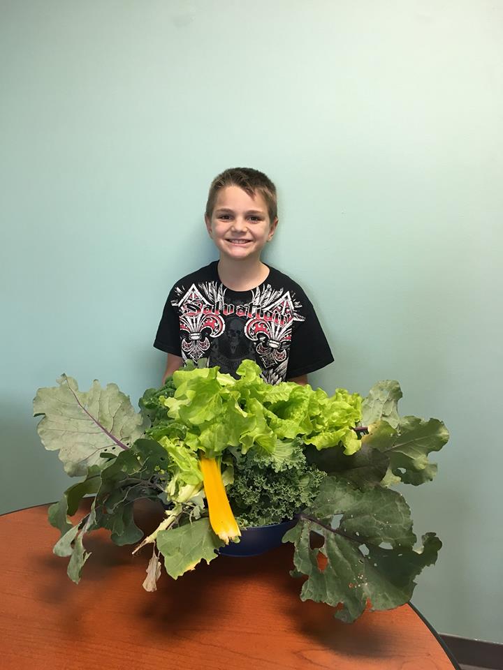 Our Blue Zones garden provided quite the harvest! Many thanks to @marionhyvee for teaching us about these vegetables. #lmconnections