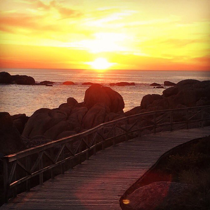 O vivir no Grove que bonito e 😊