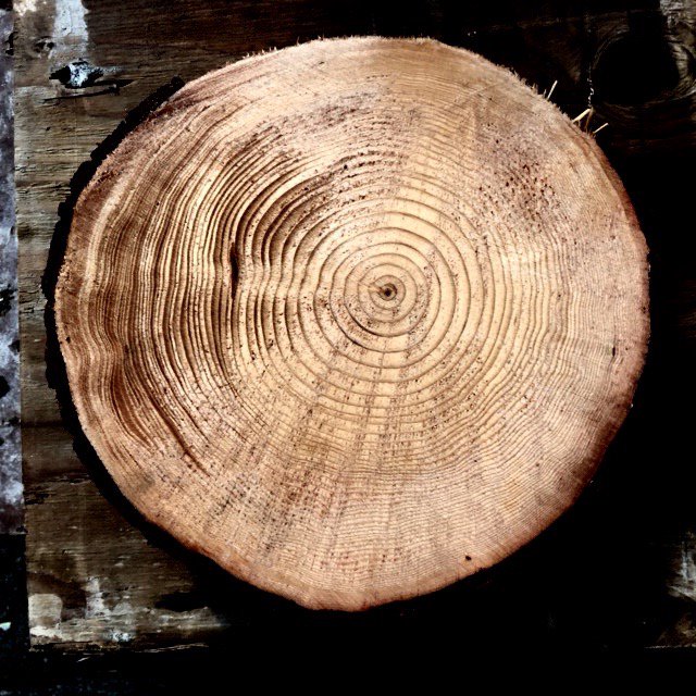 The starting point for a new project...#naturerecordstime #lightingdesign