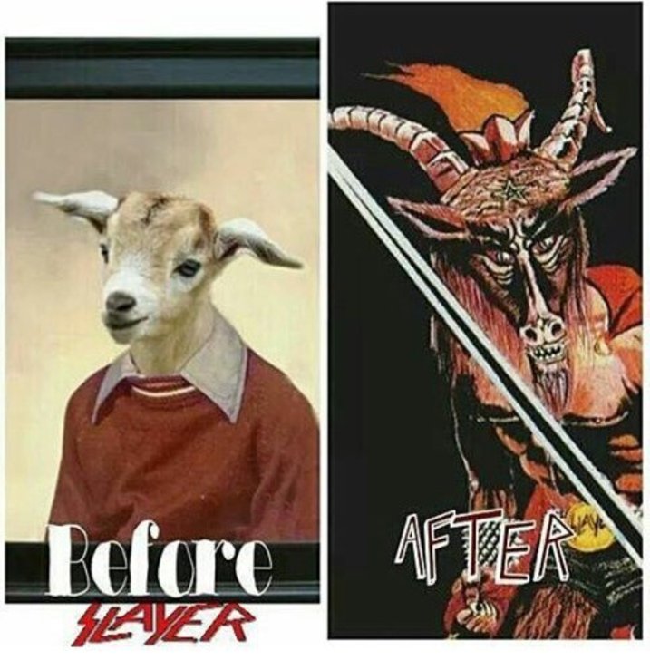 Download Festival tweet media