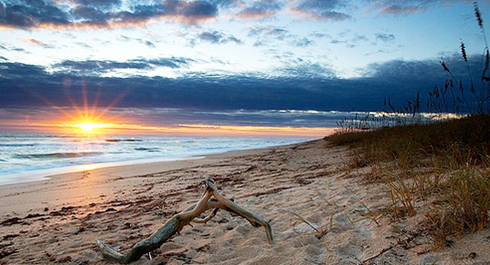 New Smyrna Beach tweet media