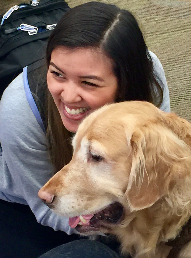 robinwb's tweet photo. #lewislibrarypaws winter bark see what a smile a dog can bring? https://t.co/KaqN4kI8rj