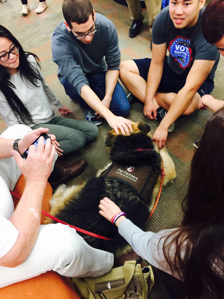 robinwb's tweet photo. Circle of therapy #lewislibrarypaws https://t.co/0veNpVXbHV
