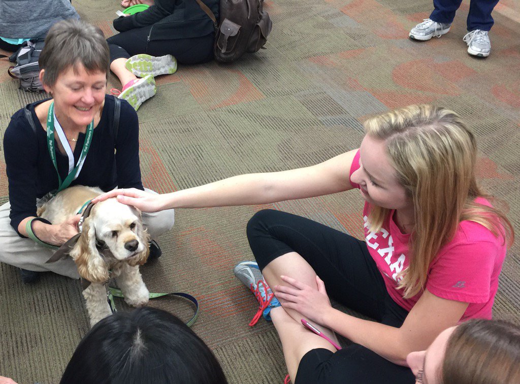 robinwb's tweet photo. Luke is the star of the show! #lewislibrarypaws https://t.co/k4BG1Y6AOc