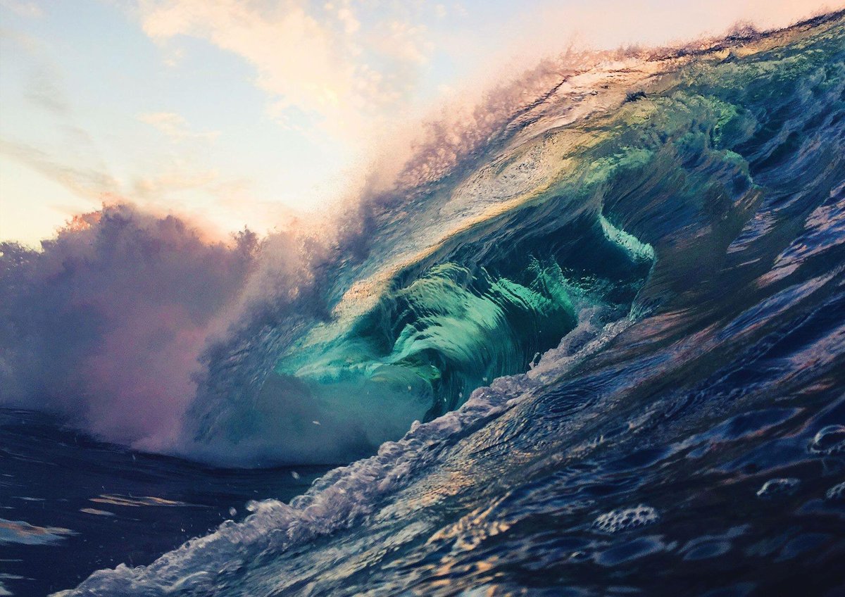 RyanPernofski's tweet image. Salt &amp;amp; Light comes out this Friday!!! Have u preordered it? :)