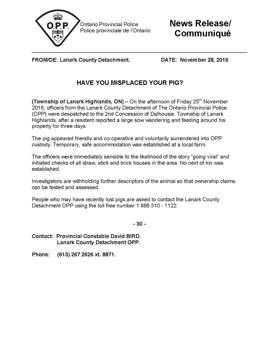 Have you misplaced your pig? She was found wandering in Dalhousie Twp, is very friendly &amp; misses her family.  1-888-310-1122