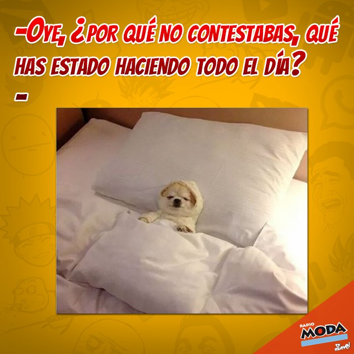 ModaTeMueve's tweet image. ¡Pásala chévere con el show de Jojojonathan!

Manda saludos a tu gente seria, y dile quién es tu favorito del reggatón.