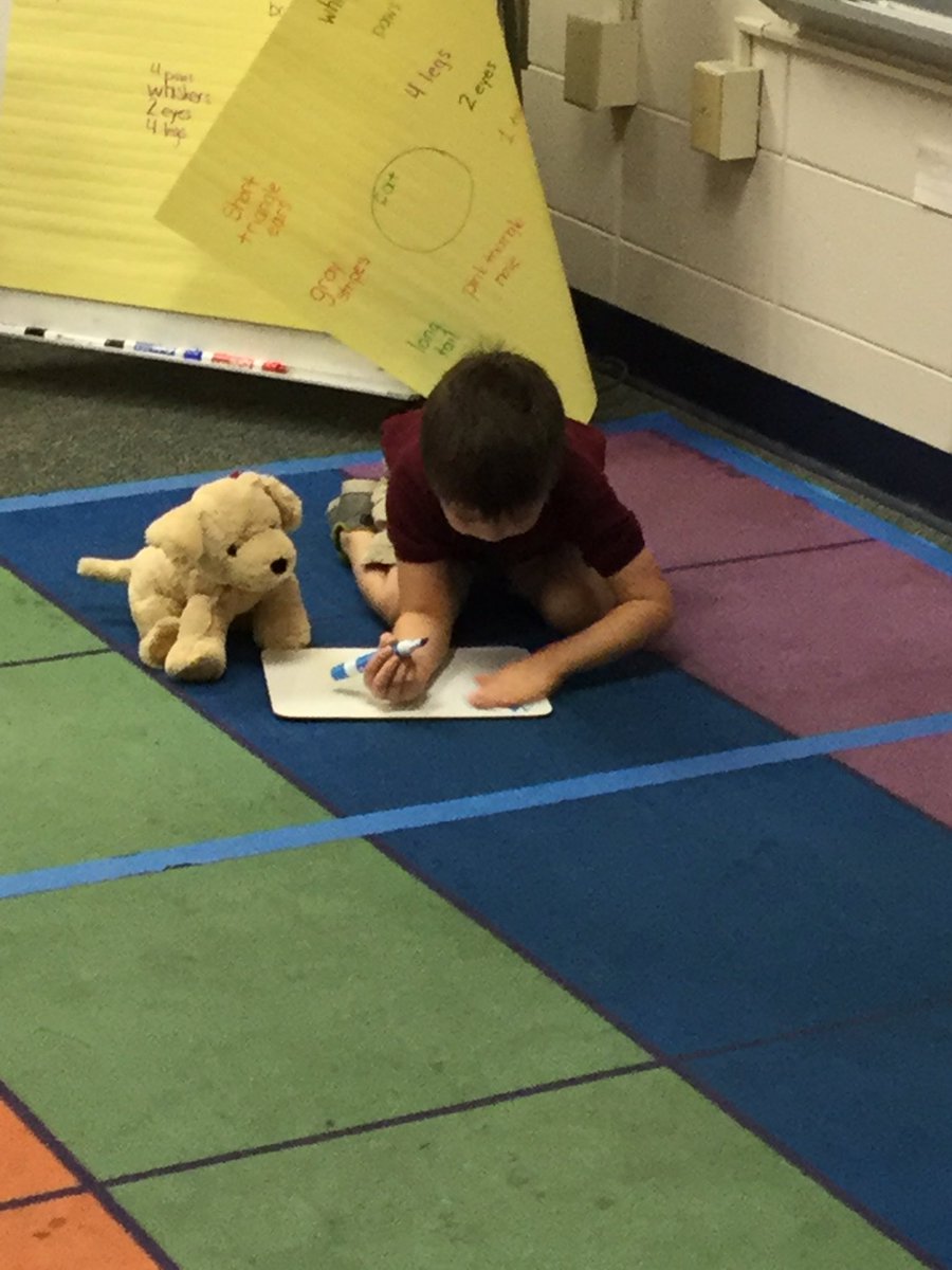 Mrsmoreyfle's tweet photo. Teaching letters to our animals. https://t.co/nkecfvRatA