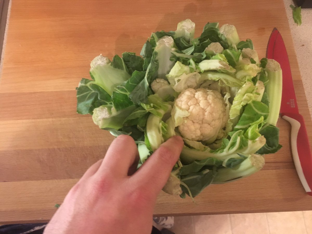 Matty_lloyd's tweet photo. Sorry @Morrisons medium cauliflower?? Don't think so! #offtosainsburys https://t.co/cMLWaqYipy