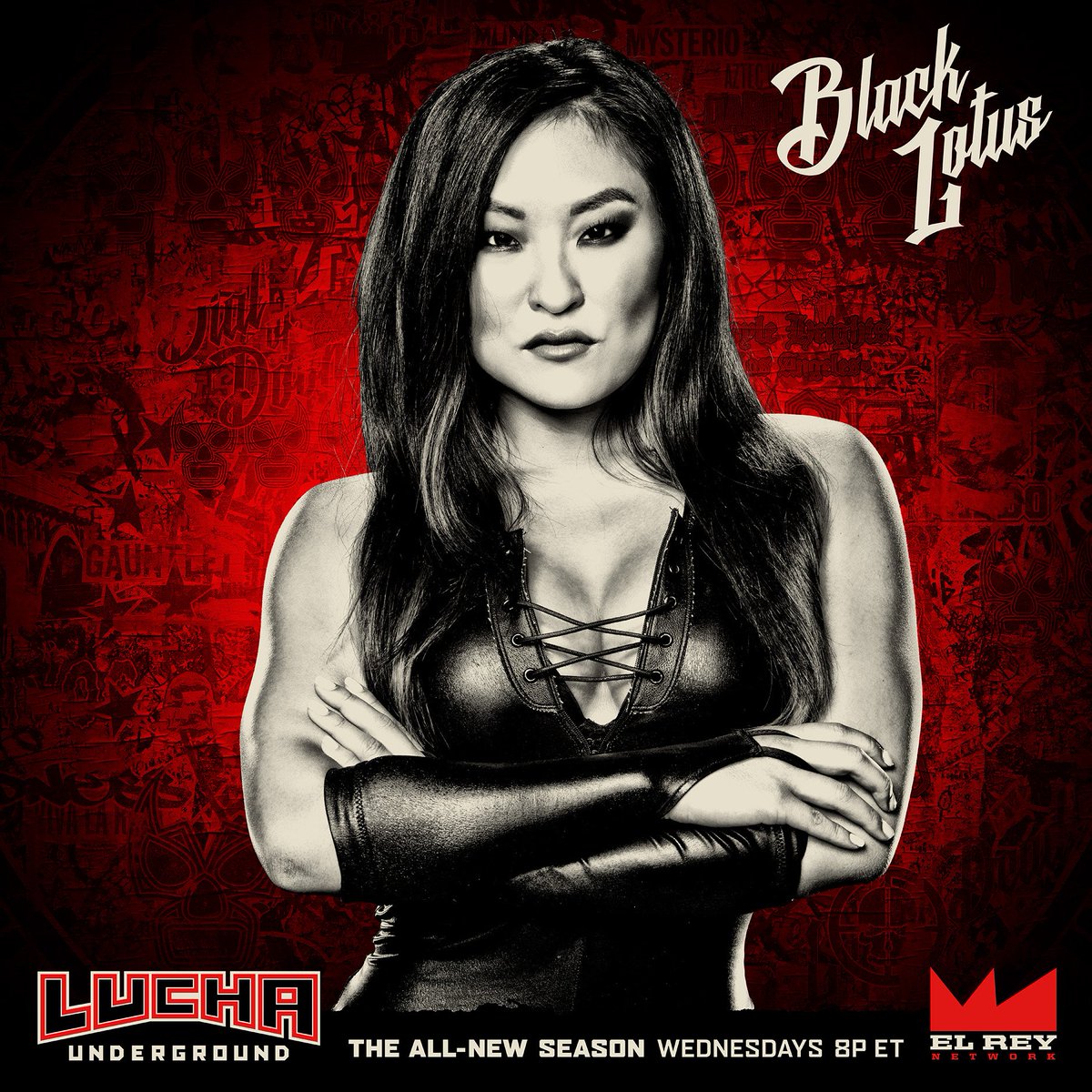 LU's Sexy, Bone Breaking, Ninja Assassins Wrestling Forum