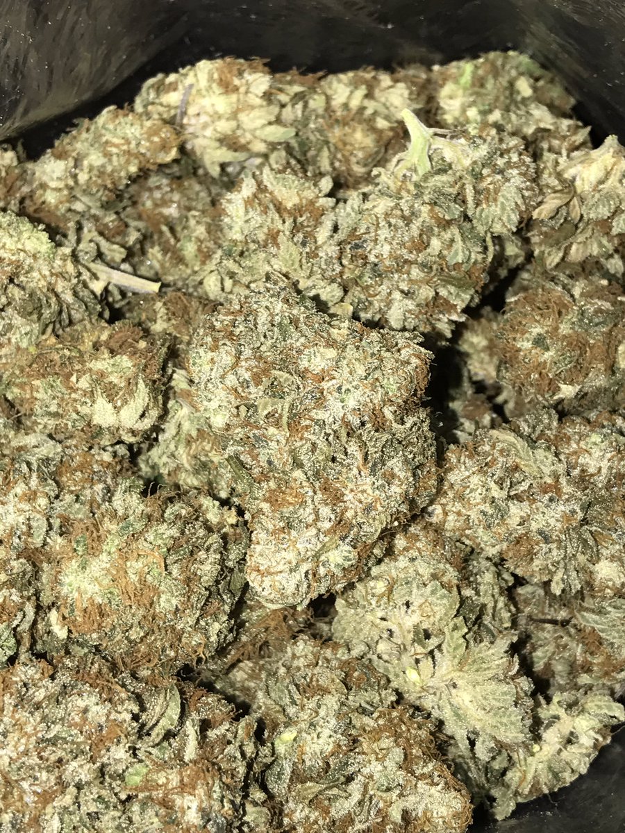 TreeAmigos420's tweet photo. Headband 😍🔥 https://t.co/roJ0a7Ax5u