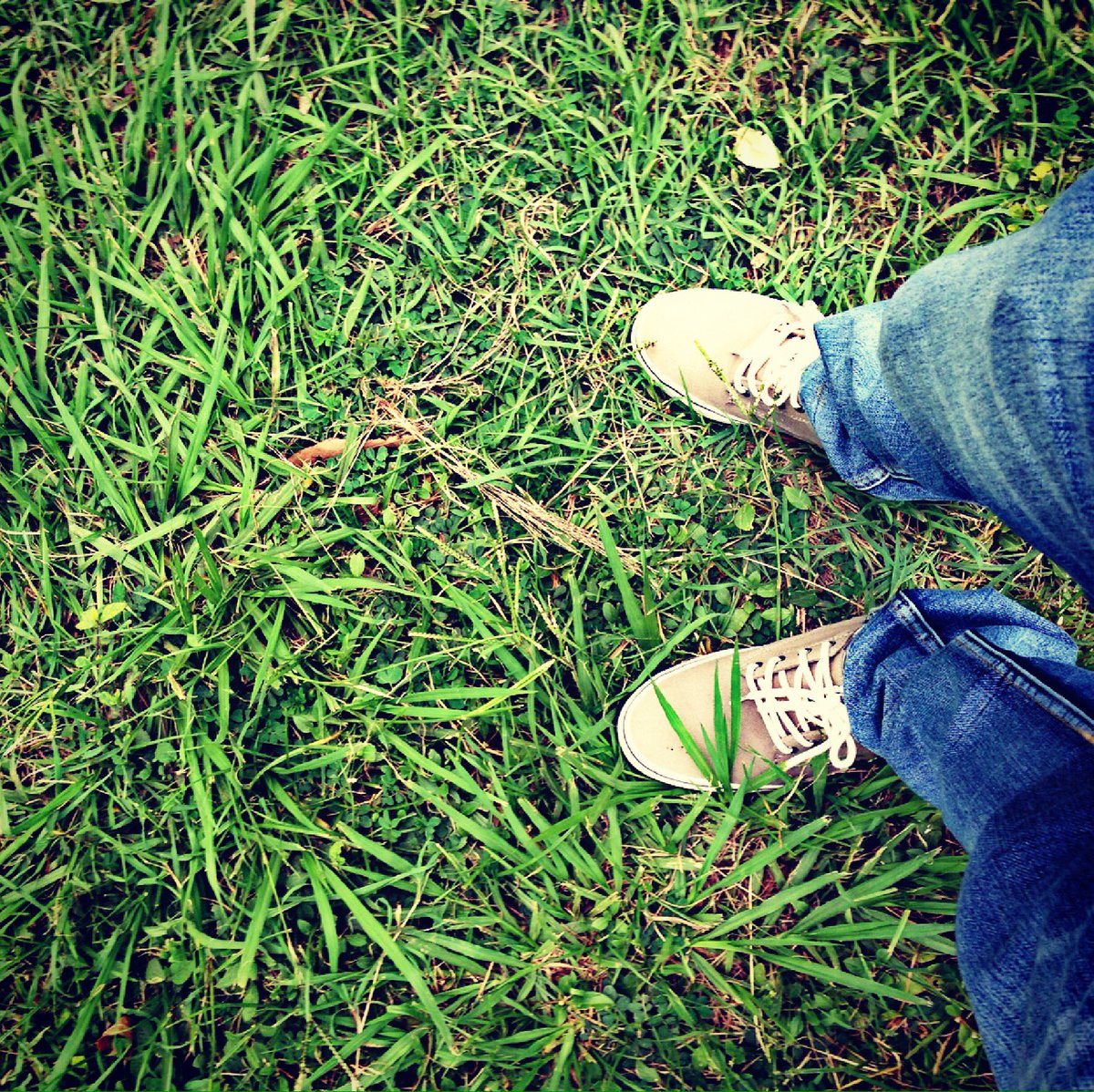 RonNeNe's tweet image. "No todos los que deambulan están perdidos"