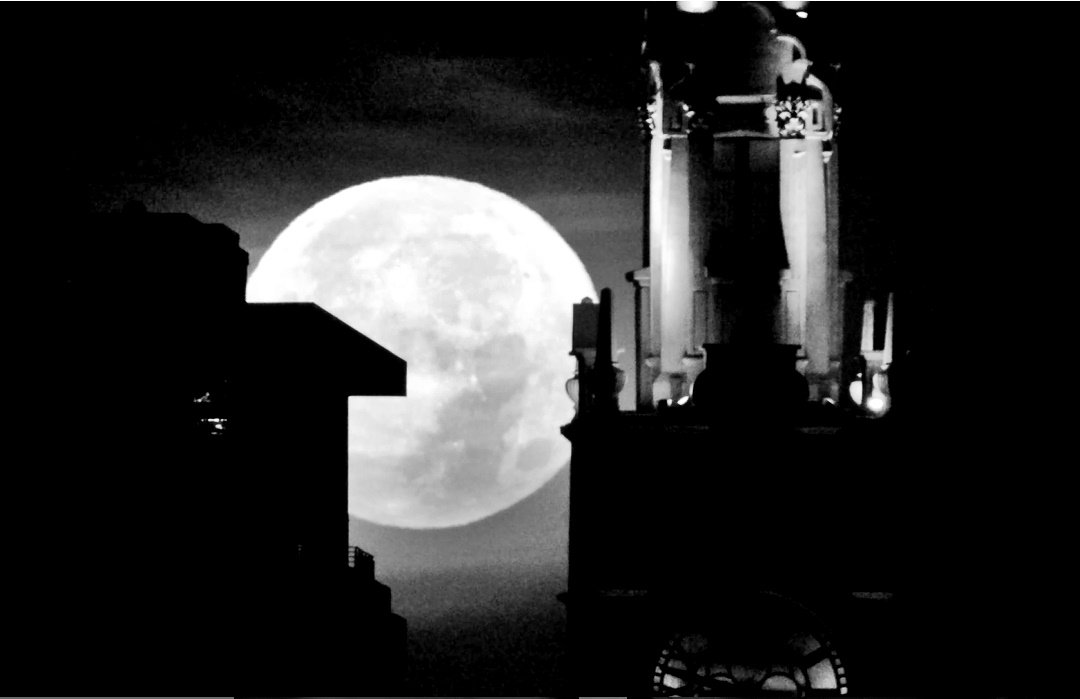 RobinEdgar's tweet photo. * @NASAGoddardPix @CdaleEclipse I didn't miss the November 13-14, 2016 #Supermoon. Sorry for late sharing of MY images... ;-) #NASASuperMoon https://t.co/7jCh4bXdsR