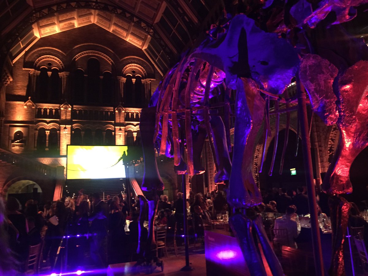 TanComments's tweet image. Deloitte Multicultural Network at the European Diversity Awards!! #EDA2016 @AksharaLV @Nadine_Dyer @WordsFromLola