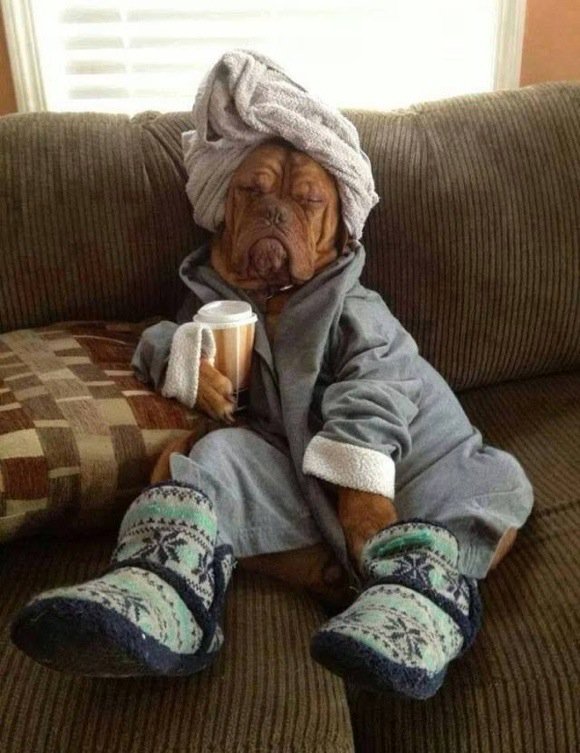 keet0007's tweet image. #MyMorningRoutineIncludes  sitting on the couch drinking coffee waking up from my beauty sleep