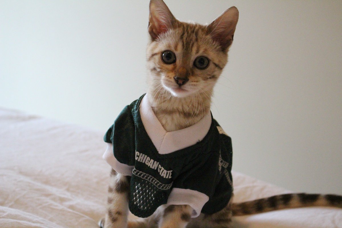 #GIVETUEMSU Eli Broad College of Business Women’s Entrepreneurship Fund

Tag your baby in MSU gear for $500 for your favorite project!