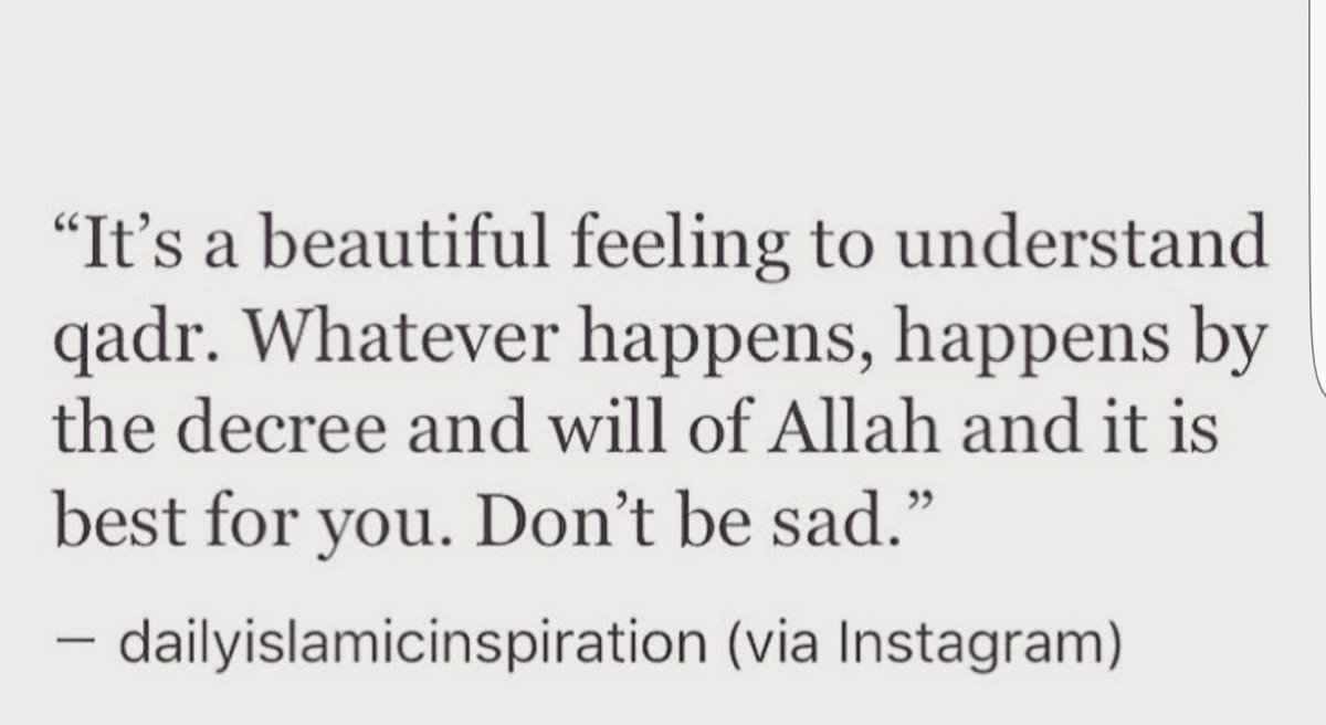 hindbaspr's tweet image. 