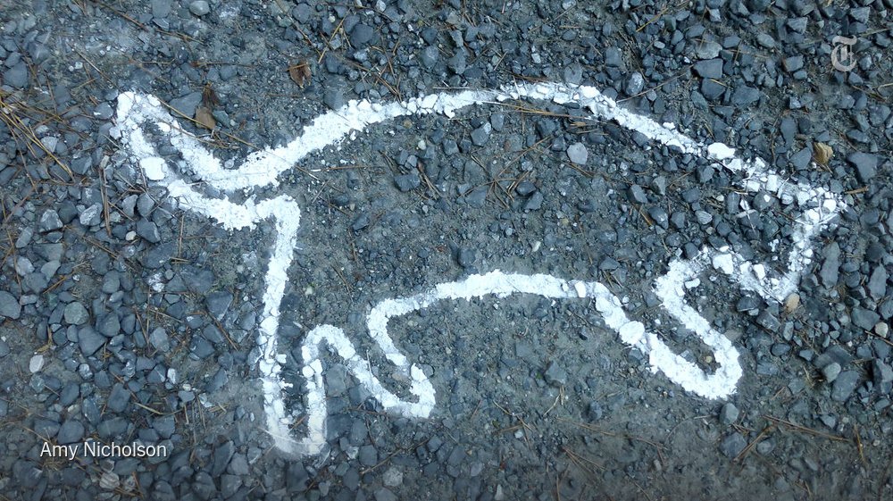 nytopinion's tweet image. The short film “Pickle” examines the depths of one couple’s devotion to their pets #OpDocs nyti.ms/2gSVrbL