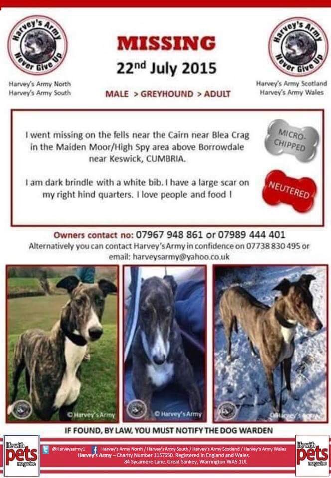 <a href="/FindTopesy/">Find Topesy</a> 💕