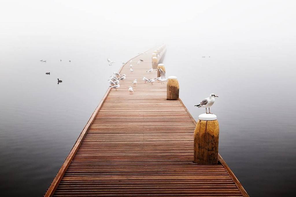 claireonline's tweet photo. SILENCE II - Interlude #silence #series #clairedroppert #art #fineart #photography #sounds… https://t.co/SnG6b4aSiu https://t.co/43VOvmNcR8