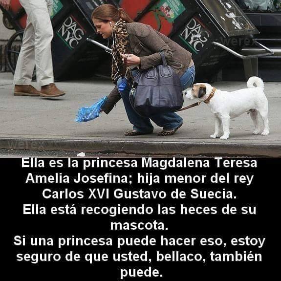 Tierradanimales's tweet image. #TipsTDA  se un dueño responsable. Pasea a tu perrito con correa y levanta sus heces. No les causes problemas, además afecta a todos