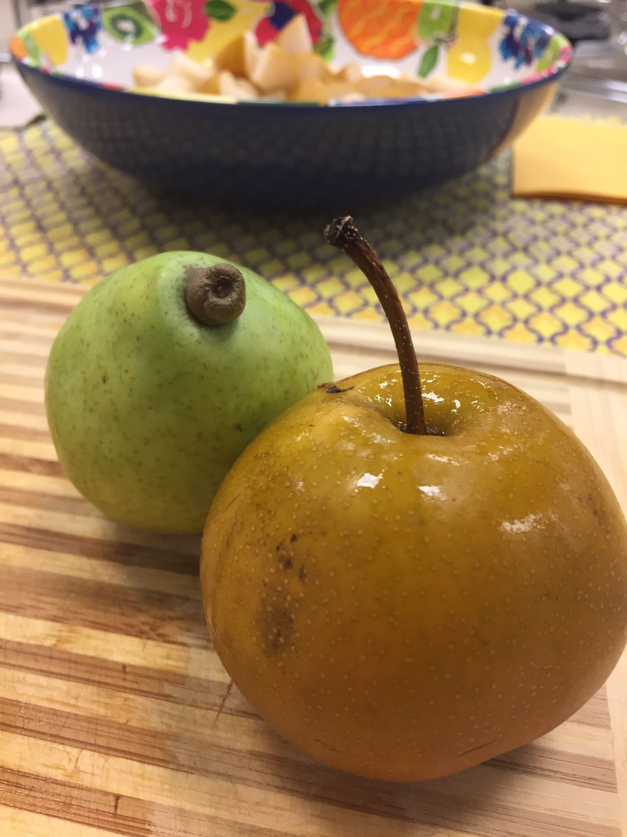 FoodRevMund's tweet photo. Sharing the @WestOakDist76 lunchroom with @Preferred_Meals = All #D76Diamonds provided a D'Anjou pear today! #chefstastingtable #ThankYou https://t.co/oXXa8IU5FY
