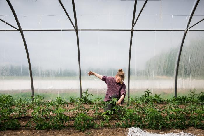 sorenfemmer's tweet image. Økologisk Landbrugsfond vil opkøbe landbrug i krise bit.ly/2fO3DYR Godt gået @okologidk + @DanmarksNatur  #dkgreen #øko