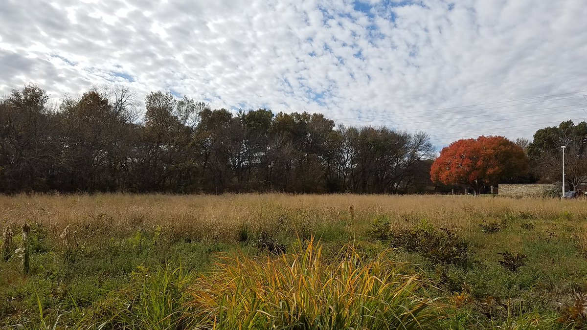 Haggar4th's tweet photo. We had a great time on this beautiful day at the Outdoor Learning Center! #fieldtrip #haggarlearns https://t.co/9fptJOEPg6