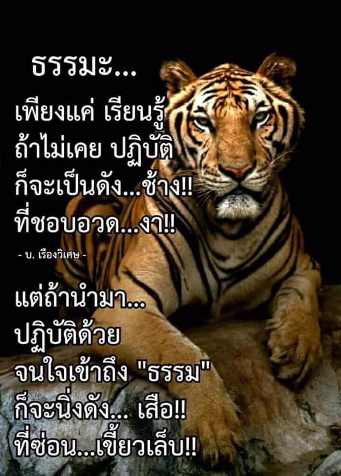 narathippatum's tweet photo. https://t.co/ddgeiTmyHE