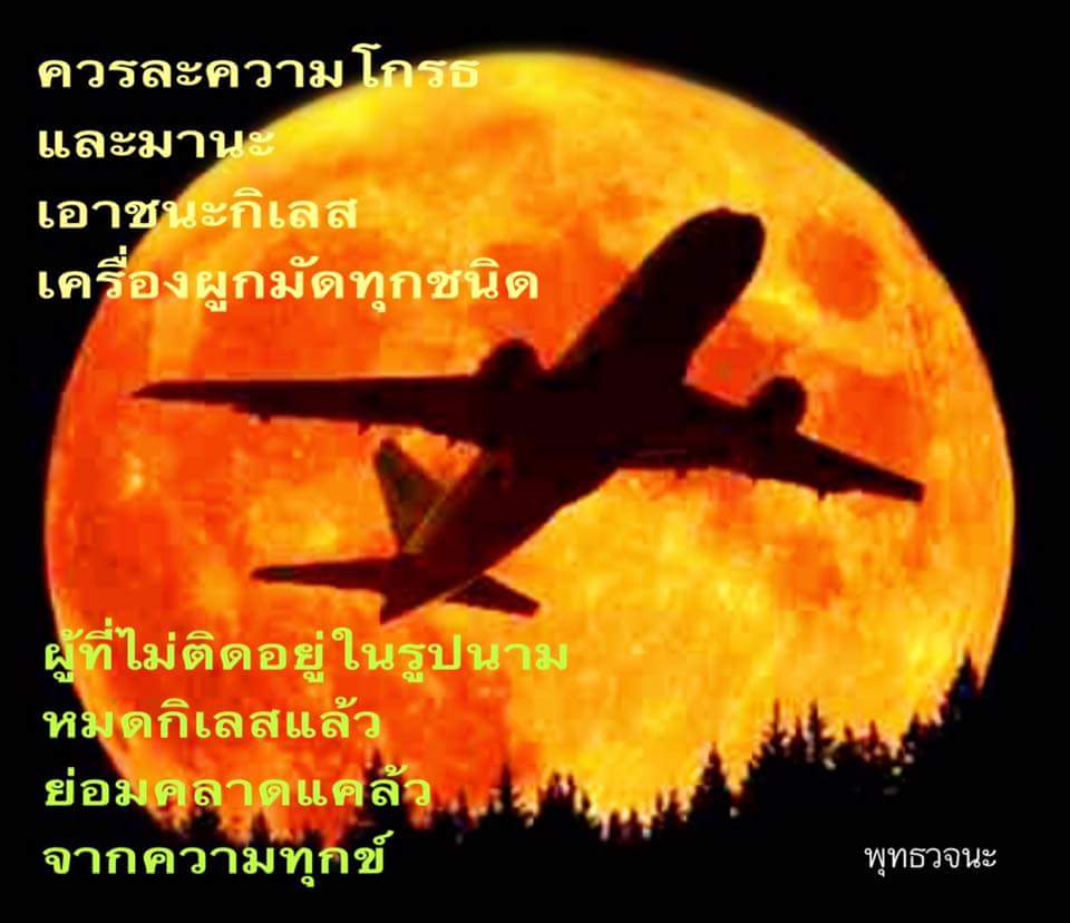 narathippatum's tweet photo. https://t.co/1BVIIUiv7U